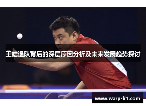 王皓退队背后的深层原因分析及未来发展趋势探讨 王皓退队背后的深层原因分析及未来发展趋势探讨