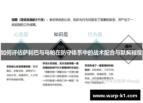 如何评估萨利巴与乌帕在防守体系中的战术配合与默契程度